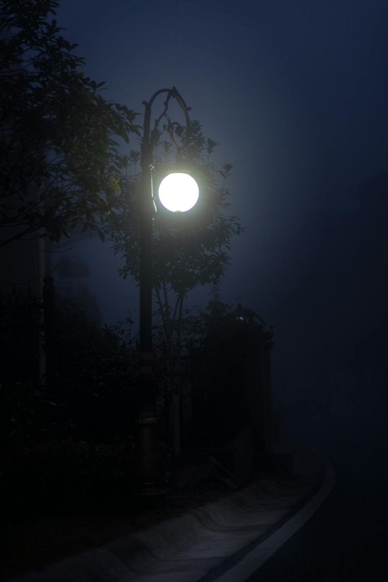 Foggy city lamppost